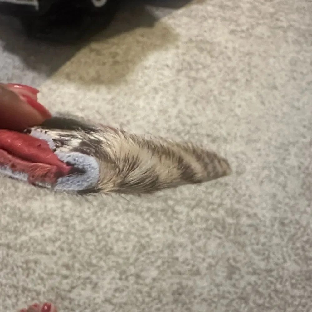 Izzimo Leather & Mohair Square Change Purse